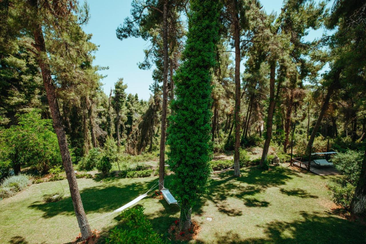 Beautiful Summerhouse In Sani'S Pine Forest Sani  Dış mekan fotoğraf