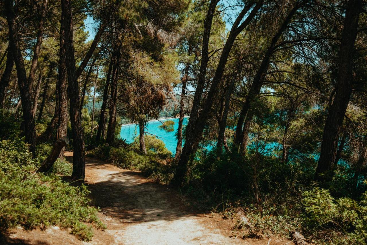 Beautiful Summerhouse In Sani'S Pine Forest Sani  Dış mekan fotoğraf