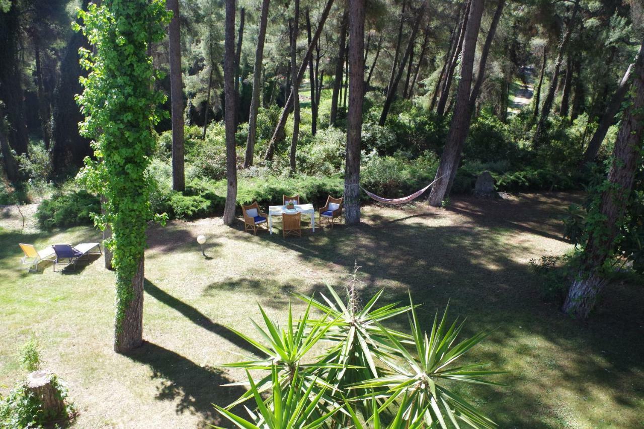 Beautiful Summerhouse In Sani'S Pine Forest Sani  Dış mekan fotoğraf