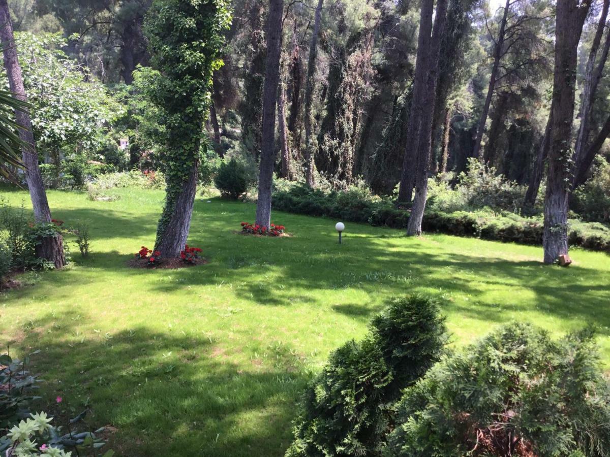 Beautiful Summerhouse In Sani'S Pine Forest Sani  Dış mekan fotoğraf